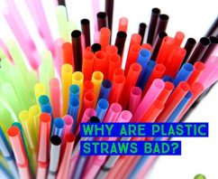 Why Are Plastic Straws Bad?