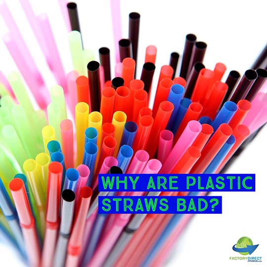 Why Are Plastic Straws Bad