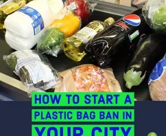 Find Out How to Ban Plastic Bags in Your Hometown