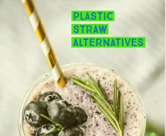 Helping The Planet with Plastic Straw Alternatives