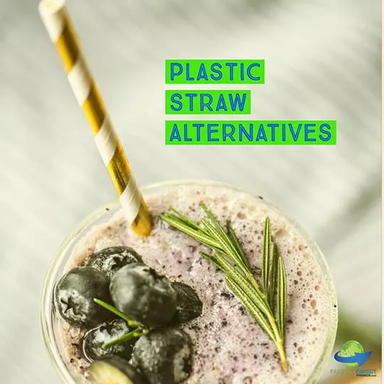 plastic straw alternatives