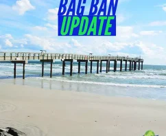 Your Latest News on Plastic Bag Bans in The United States