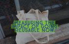 How Many Plastic Bags are Saved by Using Reusable Shopping Bag for One Year?