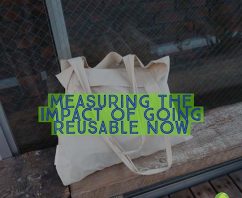 How Many Plastic Bags are Saved by Using Reusable Shopping Bag for One Year?