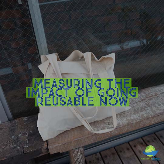 How Many Plastic Bags are Saved by Using One Reusable Bag?