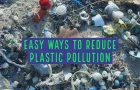 Six Ways to Stop Plastic Pollution Madness