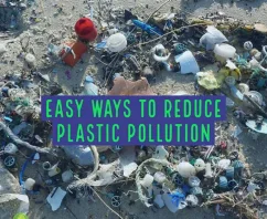 Six Ways to Stop Plastic Pollution Madness
