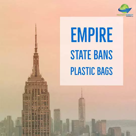 Top of Empire State Building at sunrise - State Bans Plastic Bags