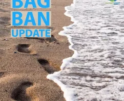 Your Latest Plastic Bag Ban Update for The United States