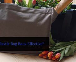 Plastic Bag Ban Effectiveness Explained