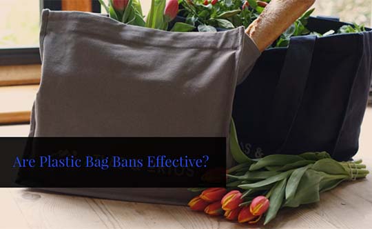 Plastic Bag Ban Effectiveness Explained