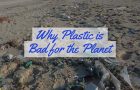 Why is Plastic Bad for The Planet?