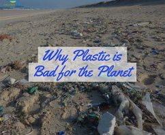 Why is Plastic Bad for The Planet?