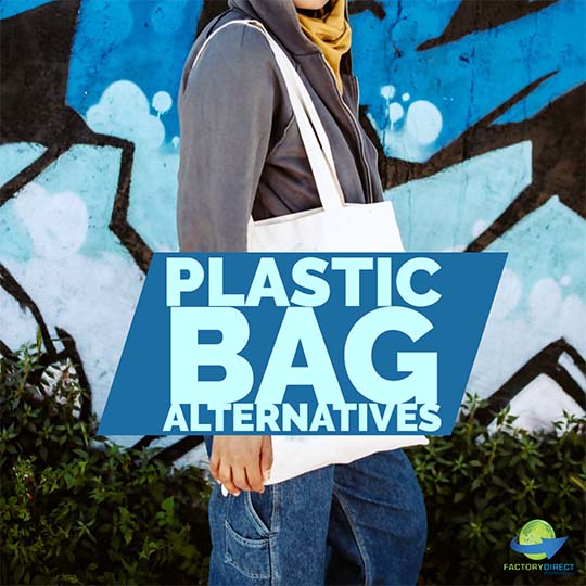 Plastic Bag Alternatives