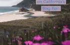 States Ban the Bag: California – The Movement Begins