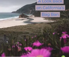 States Ban the Bag: California – The Movement Begins