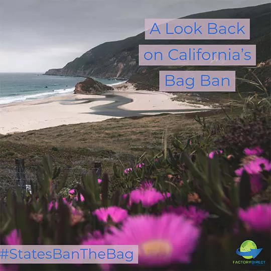 States Ban the Bag: California - The Movement Begins