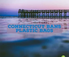 States Ban the Bag: Connecticut Joins the List