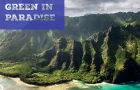 States Ban the Bag: Hawaii – What IS The Law of The Land?