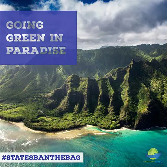 Hawaii aerial view - going green - #statesbanthebag
