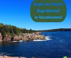 States Ban the Bag: Reading The “Fine Print” on The Maine Bag Ban