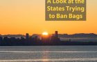 States Ban The Bag: States on the Verge of Plastic Bag Bans