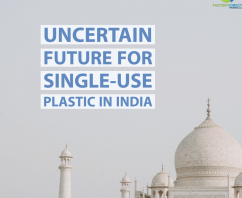 Why Did India Delay Their Plastic Bag Ban?