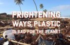 4 Frightening Ways Plastic Bags Are Bad for the Planet