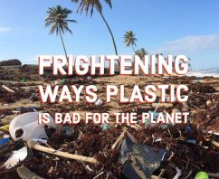 4 Frightening Ways Plastic Bags Are Bad for the Planet