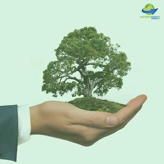 Eco-Friendly themed concept of hand holding small tree