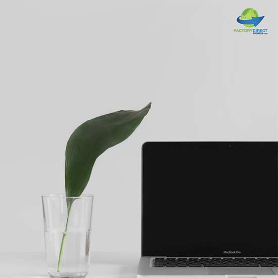 Plant leaf in a glass of water next to a laptop