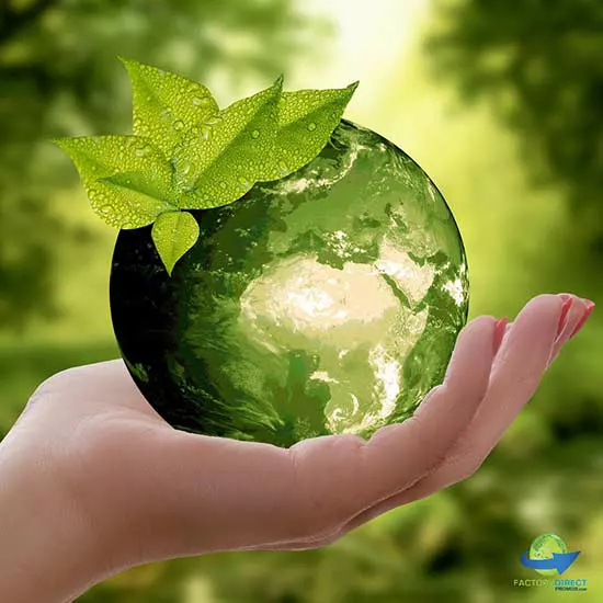 Hand holding a glass earth globe surrounded in greenery