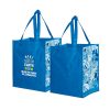 Custom grocery bags made from recycle materials with an inspiring environmental art theme of used water bottles.