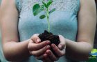 8 Creative Ways to Celebrate Earth Day from Your Home Office
