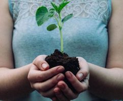 8 Creative Ways to Celebrate Earth Day from Your Home Office