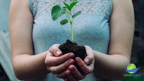 A woman in a soft blue shirt holding a seedling plant in her cupped hands