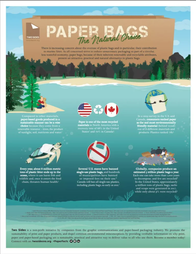 paper-bags-infographic