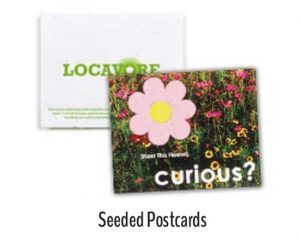 Seed paper Postcards