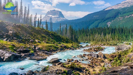 Breathtaking scenery of mountainous region with trees and white water stream