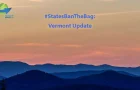 Will the Passed Vermont Bag Ban Still Move Forward During COVID-19?