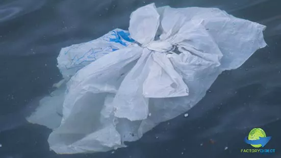 Single use plastic bag water pollution