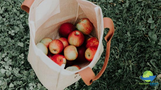 Apples in a jute reusable bag