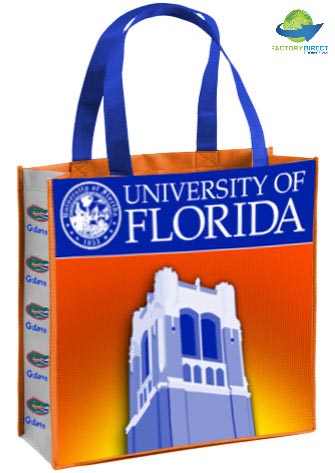 Brightly colored University of Florida custom branded reusable bag