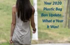 Your 2020 Worldwide Plastic Bag Ban Update…What a Year It Was!