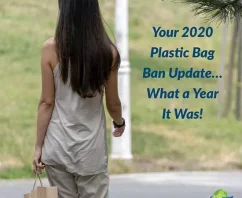 Your 2020 Worldwide Plastic Bag Ban Update…What a Year It Was!