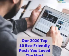 Our 2020 Top 10 Eco-Friendly Posts You Loved The Most