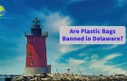 Are Plastic Bags Banned in Delaware?
