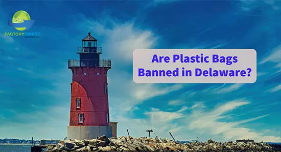 Are Plastic Bags Banned in Delaware?