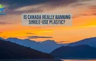 Is Canada REALLY Banning Single-Use Plastic?