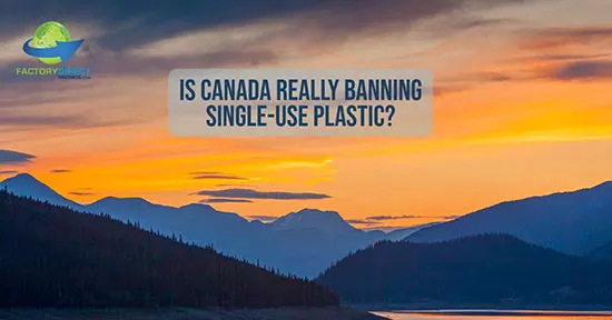 Is Canada REALLY Banning Single-Use Plastic